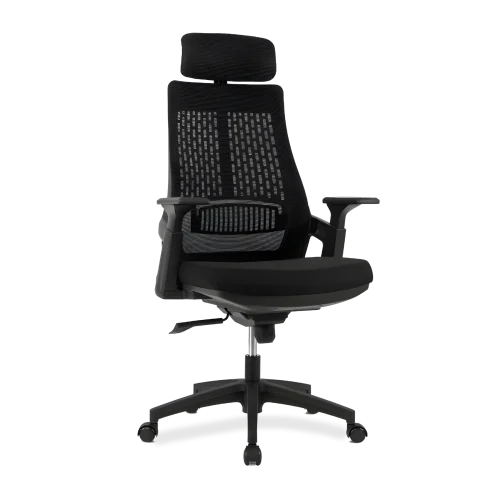 Lama Orthopedic office chair